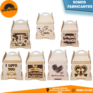 Cajas Maletín