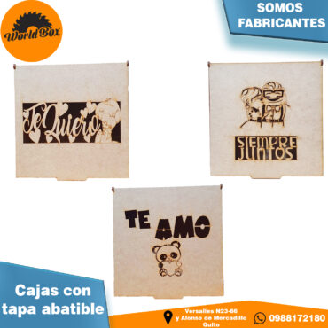 Cajas con tapa abatible